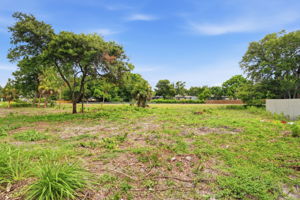 Front Yard (13)