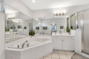 Primary Bath View 2