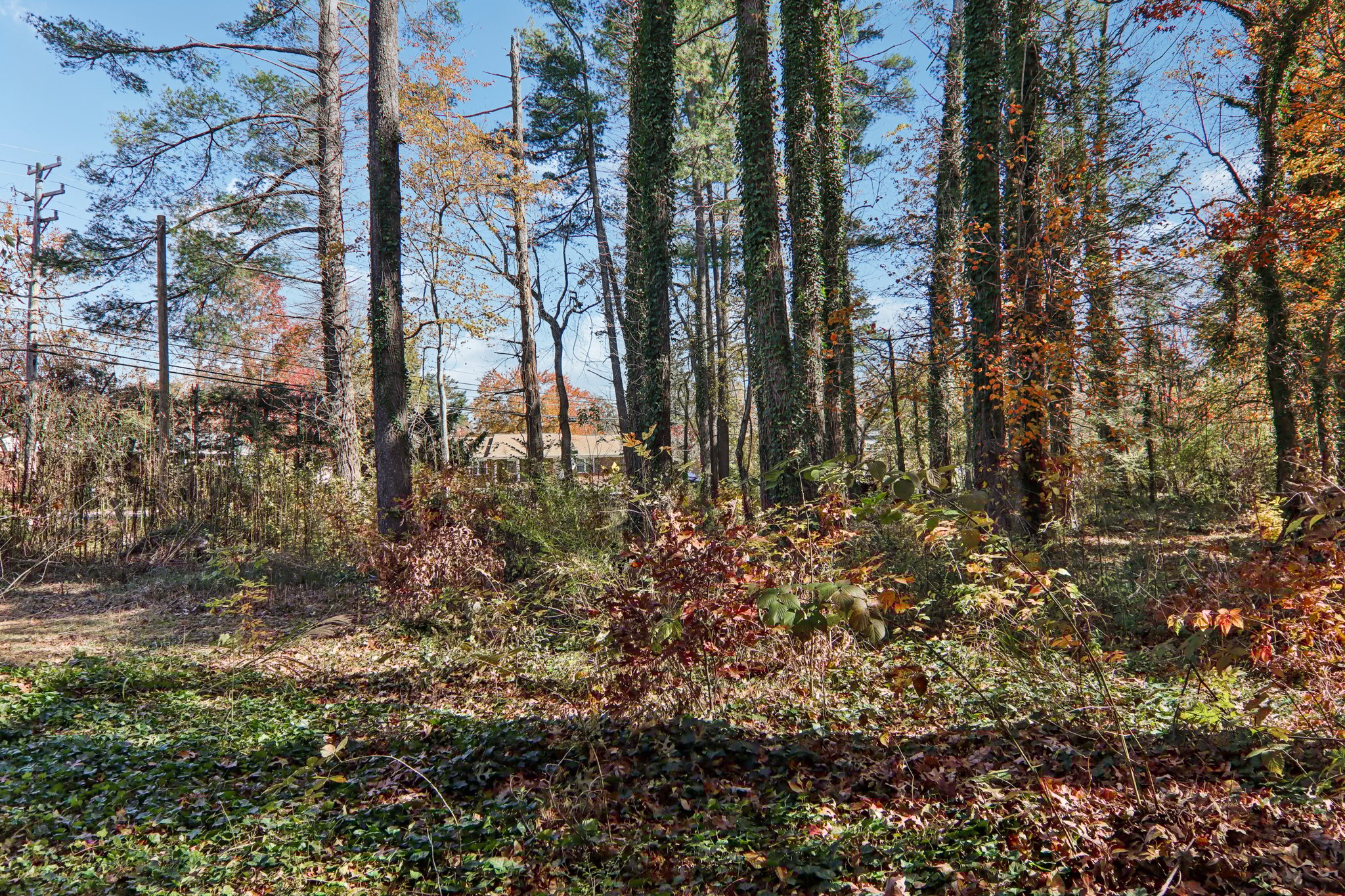 Haywood Rd-S0511-035.jpg