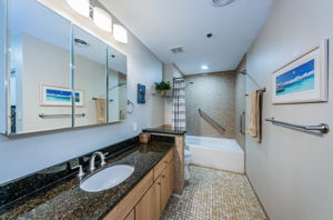 Guest Bathroom1a