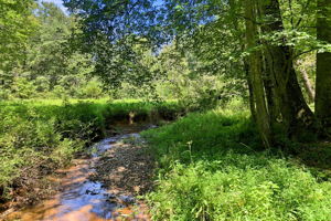  Photo 49