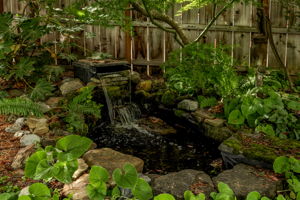  Photo 29