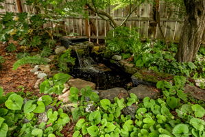  Photo 30