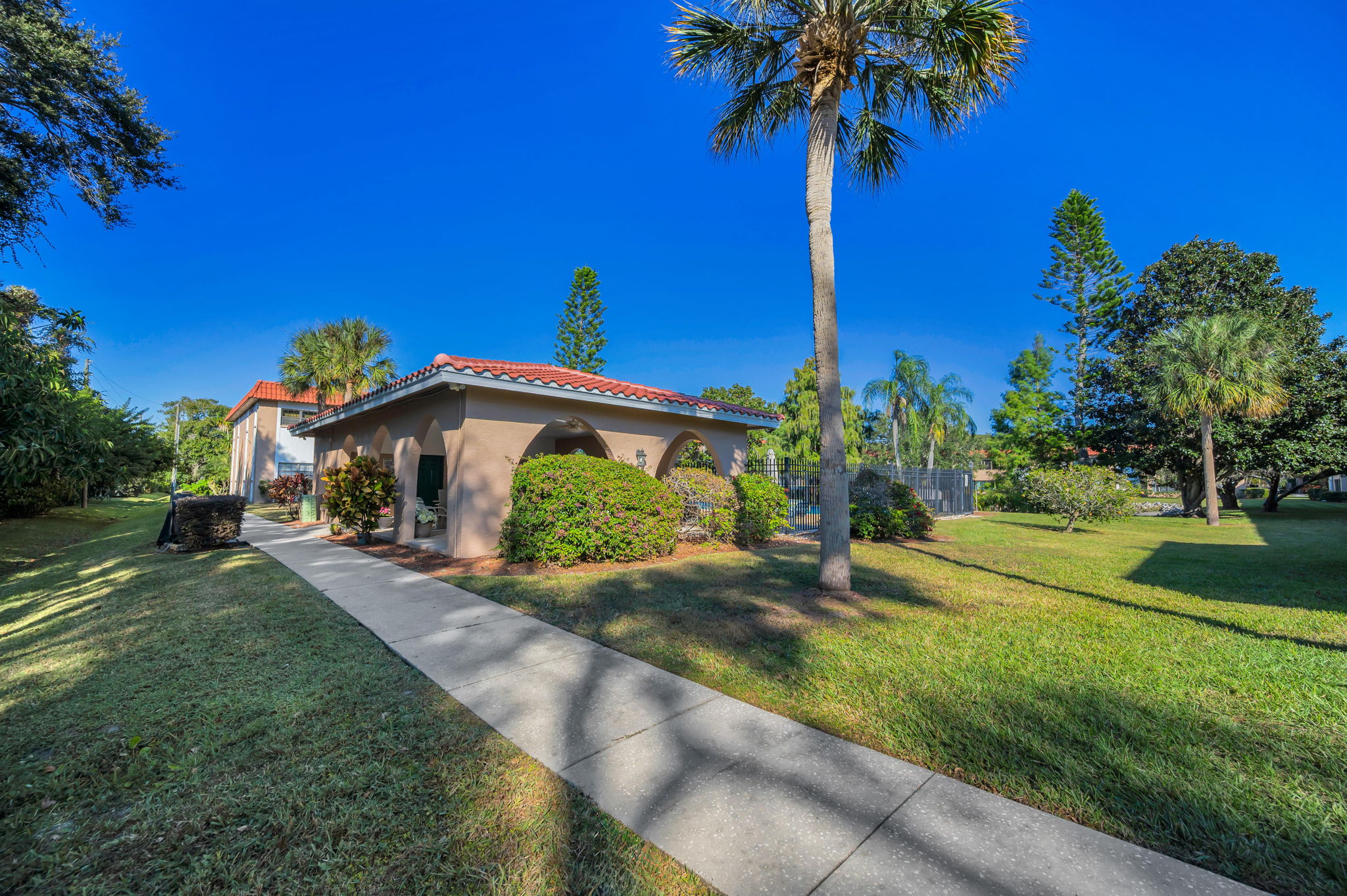 Pool and Grilling Area