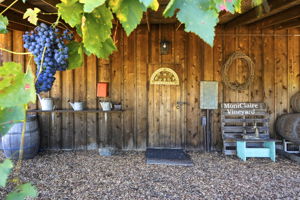 052_F8_1750 Lytton Springs Rd