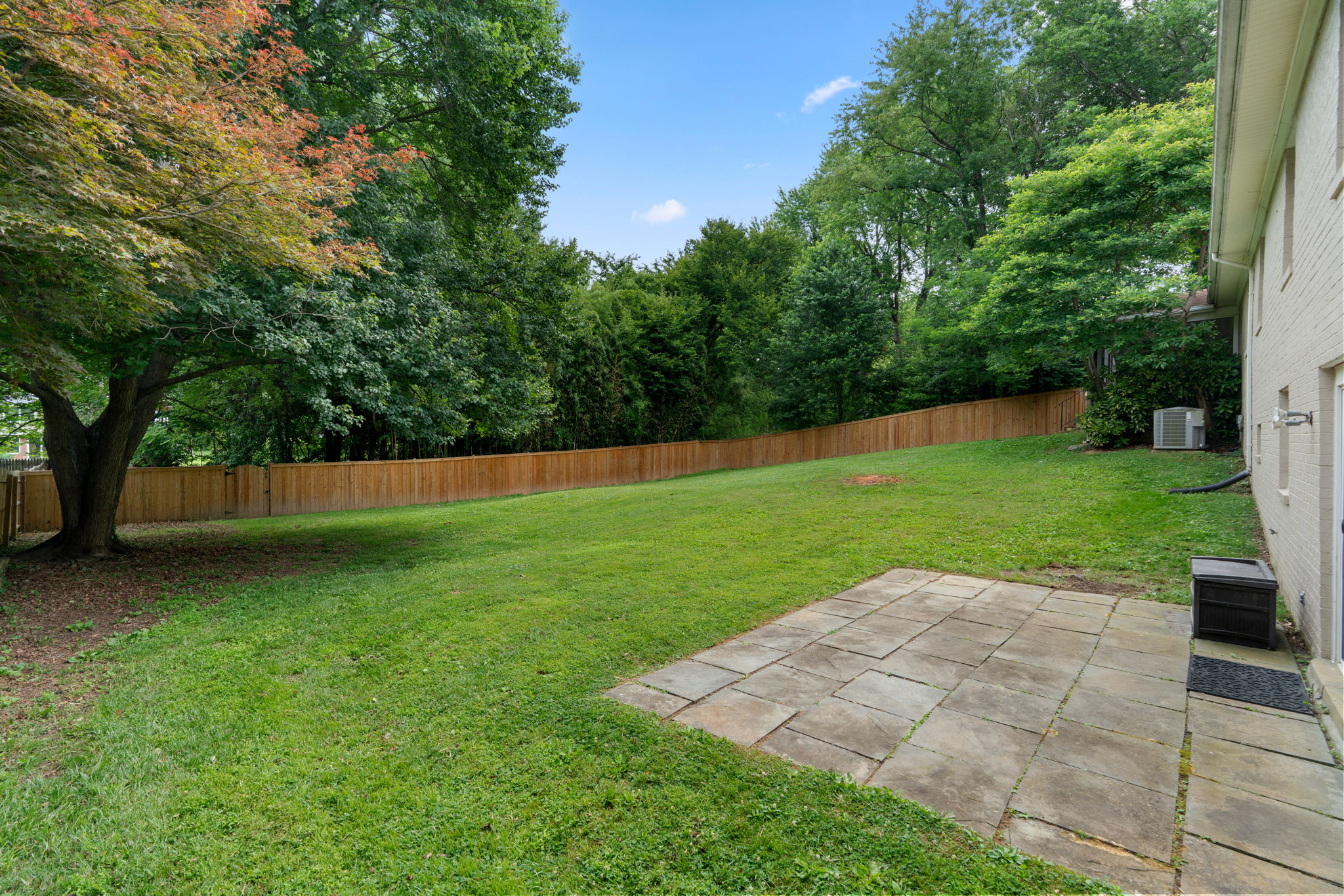 Rear Yard