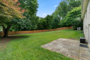 Rear Yard