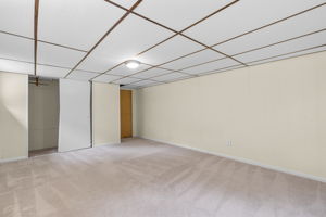 Lower Level Flex Room/Guest Room