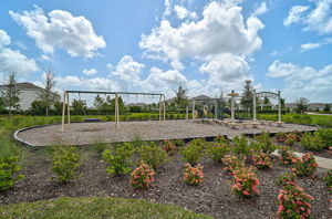 Solera - Bradenton-2