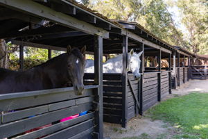  Photo 79