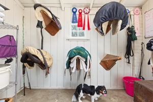  Photo 93