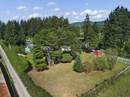 Photo 49