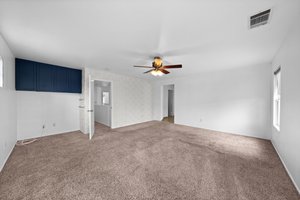  Photo 41