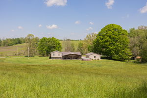 M.W.- 17536 Carson Rd, Butler-60