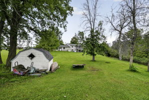  Photo 46