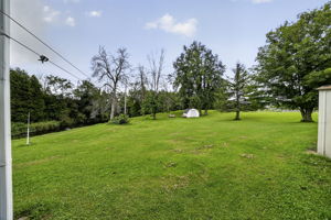  Photo 50