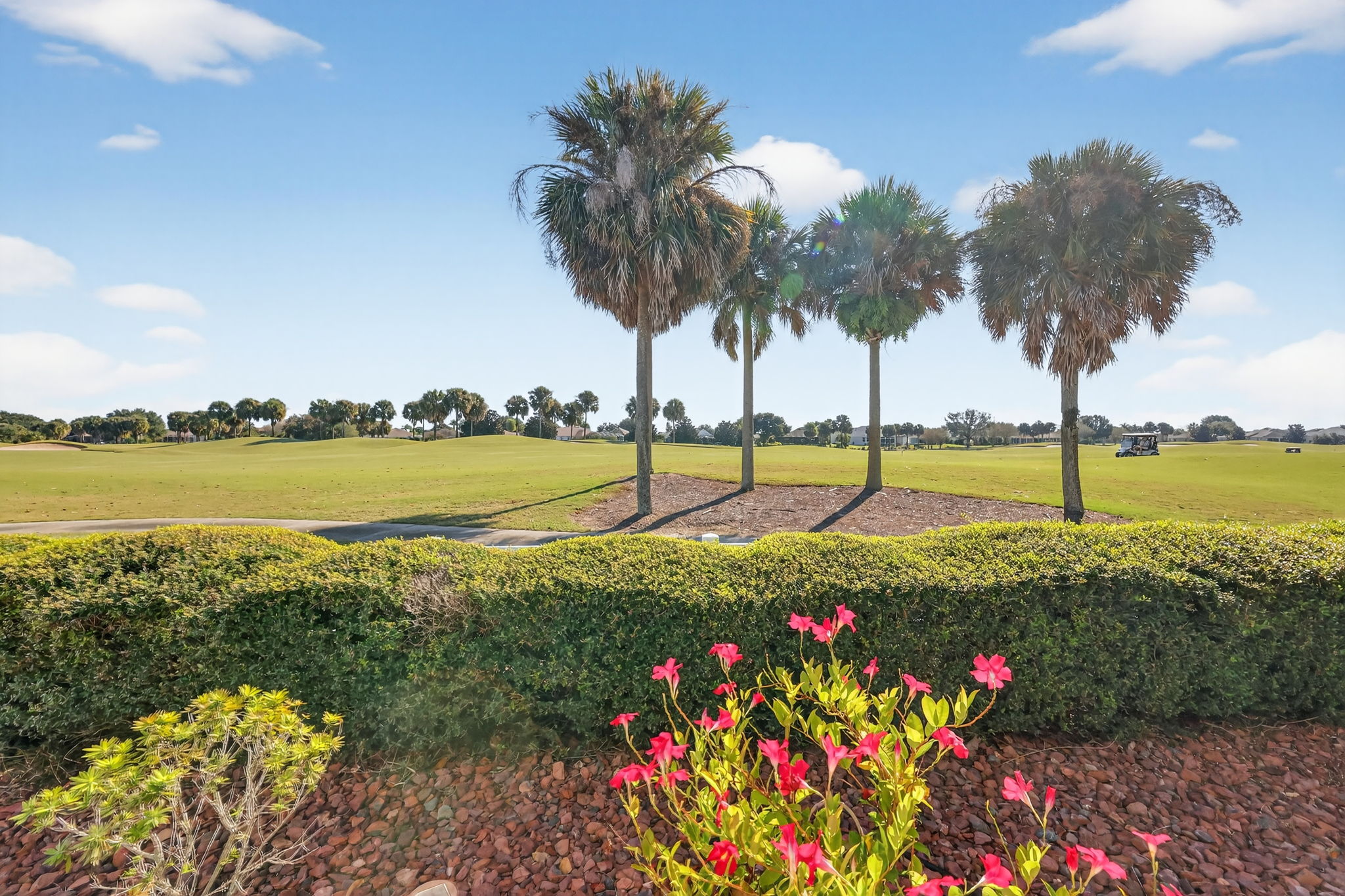 Fabulous Golf Front Views!