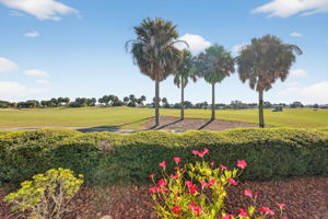 Fabulous Golf Front Views!