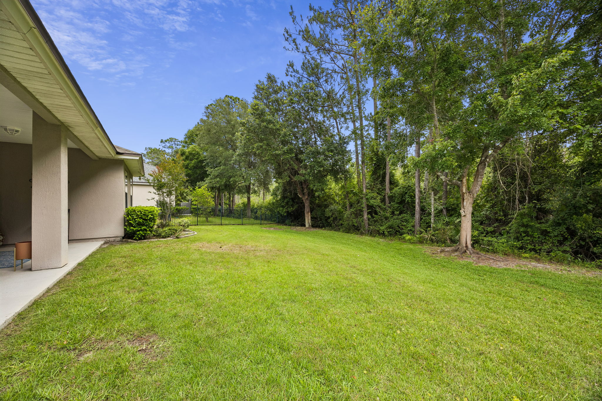 Backyard