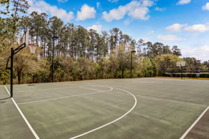 St. Johns Forest