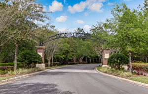 St. Johns Forest