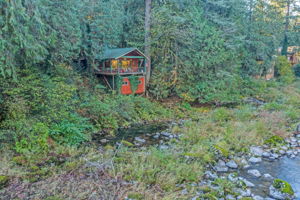  Photo 49