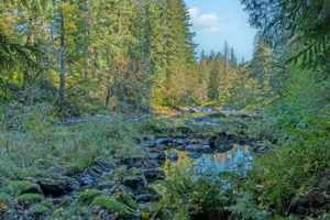  Photo 41