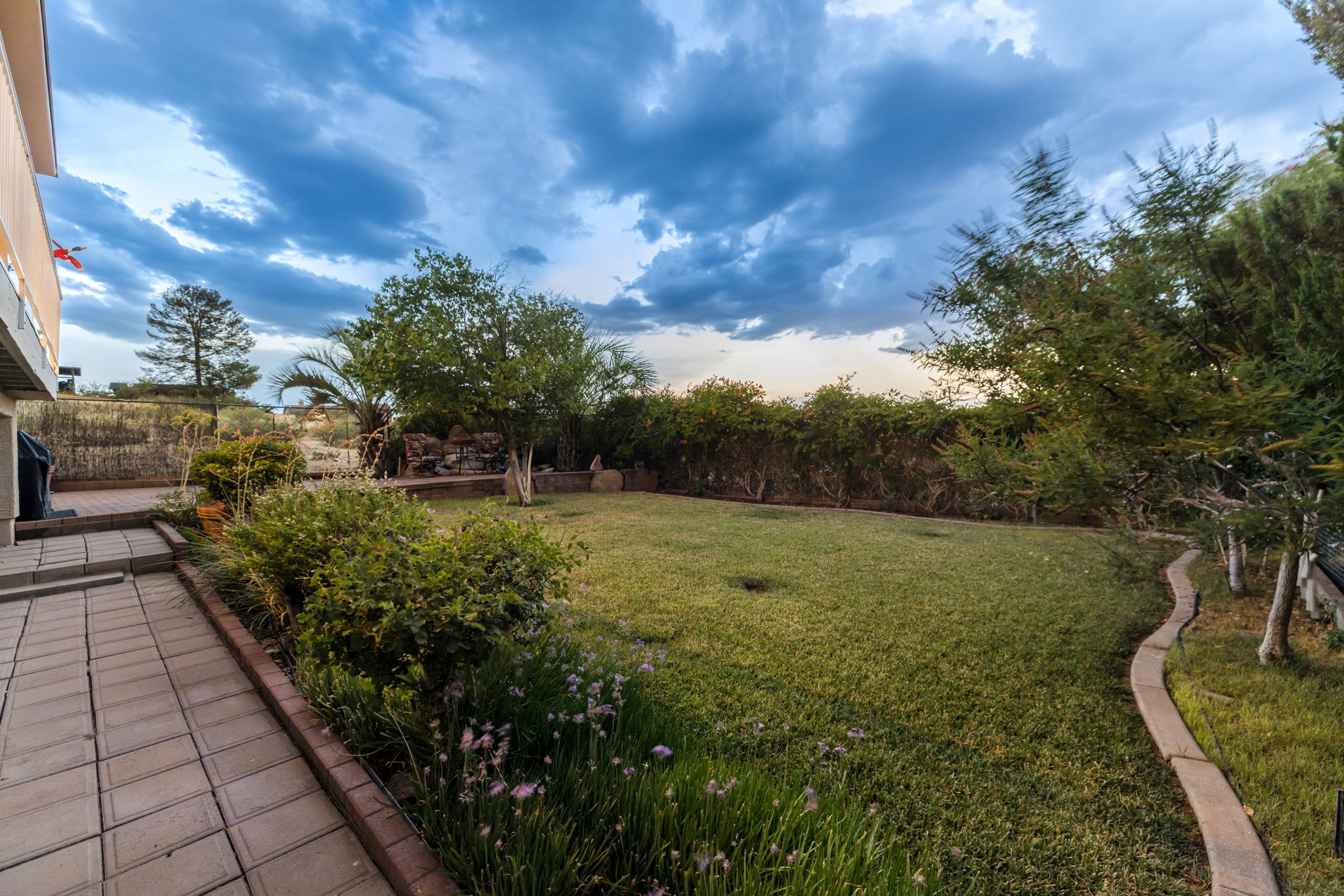 Backyard_1