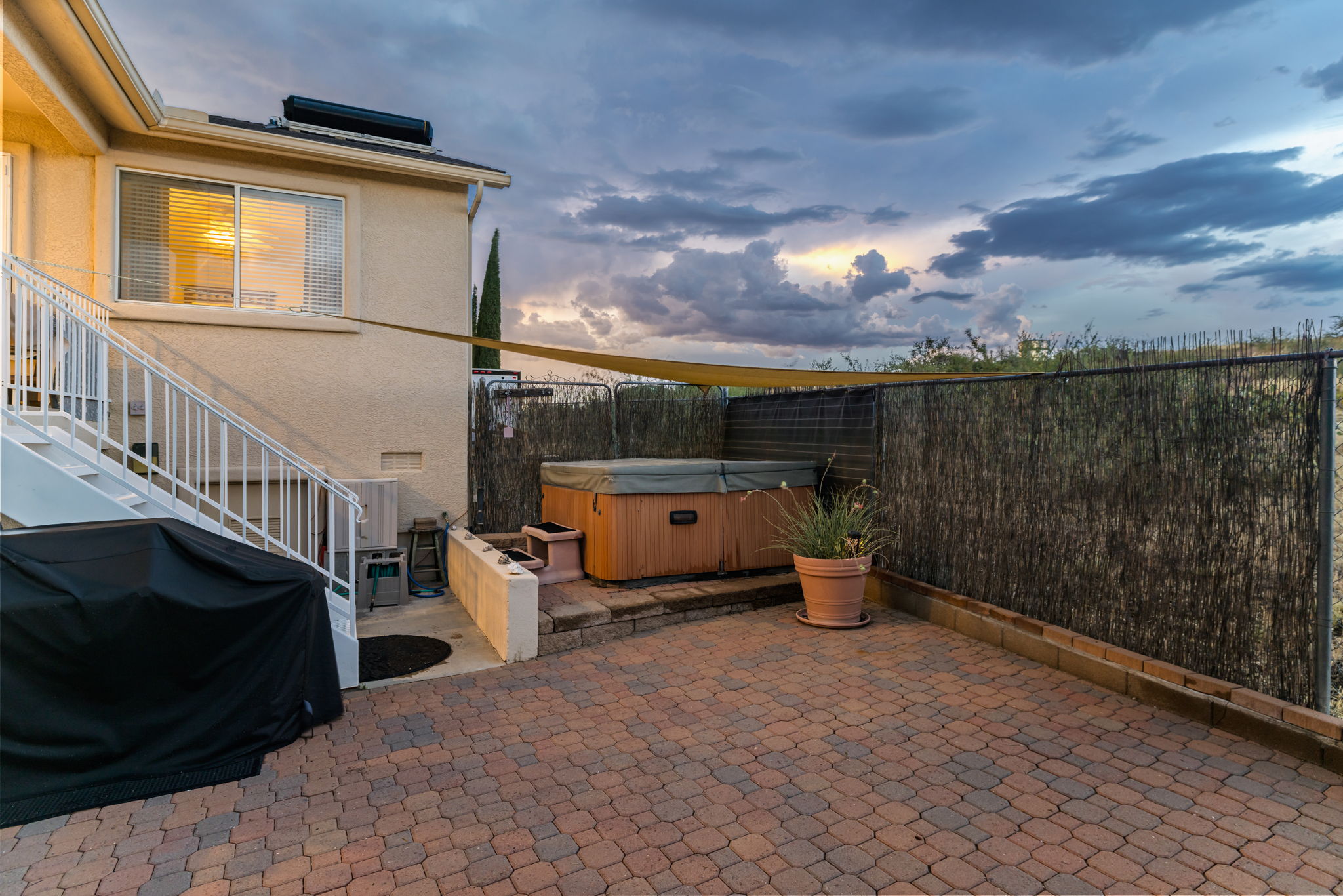Backyard_3