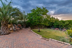 Backyard_2