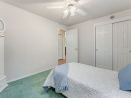  Photo 31
