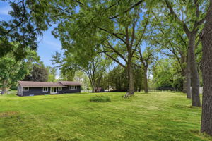  Photo 39