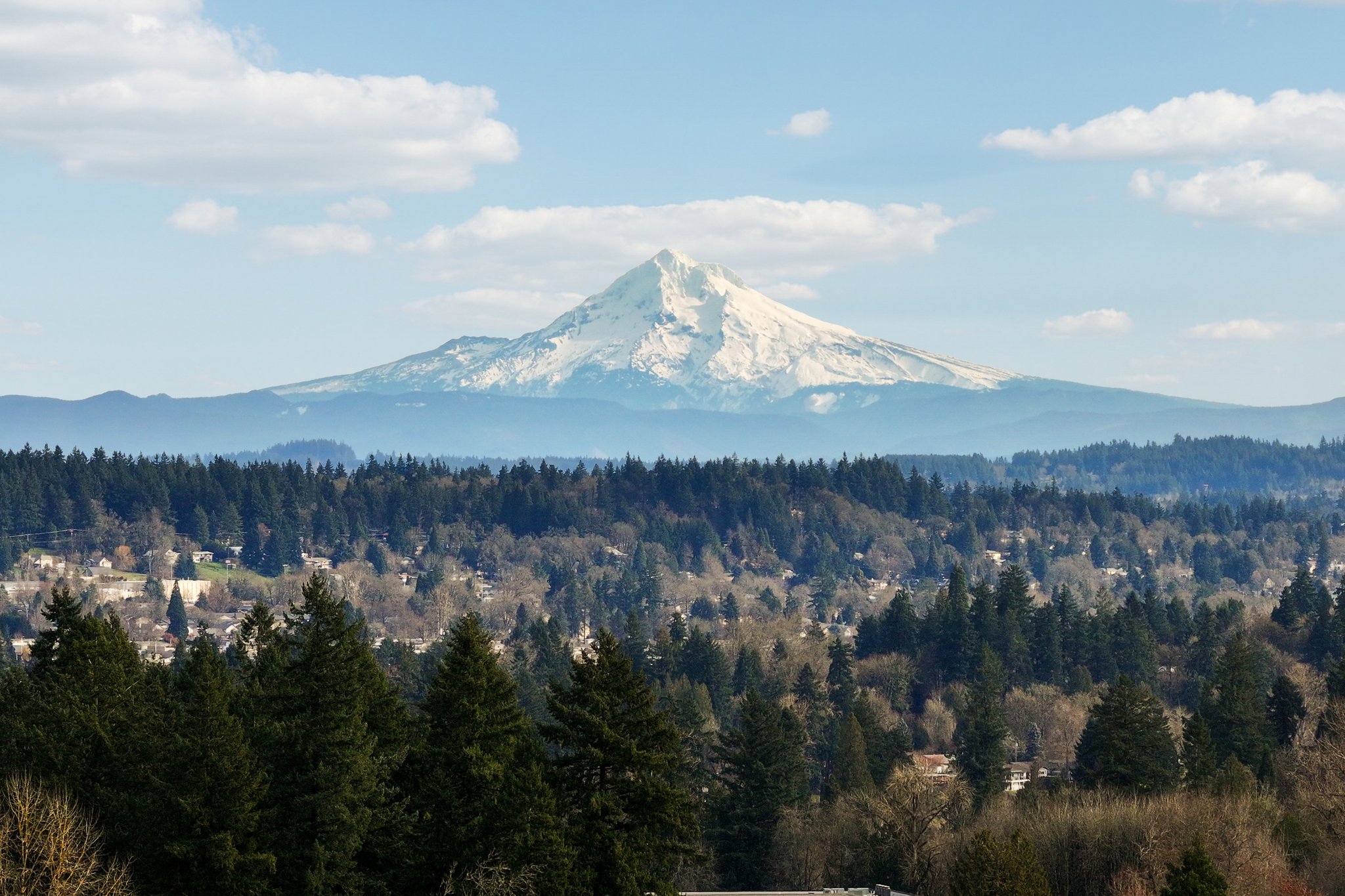 Brookhurst Dr-L2301-068.jpg