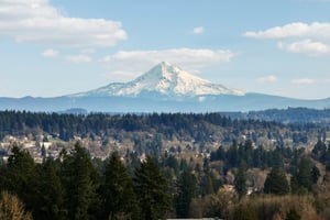 Brookhurst Dr-L2301-068.jpg