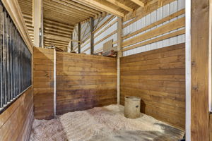  Photo 107