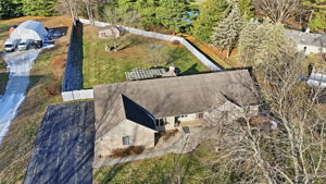 Property_Expressions_17629_Cherry_tree (3)