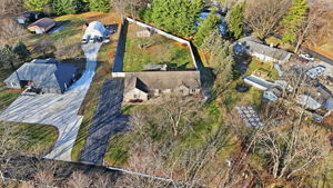 Property_Expressions_17629_Cherry_tree (5)