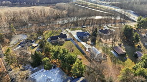 Property_Expressions_17629_Cherry_tree (12)