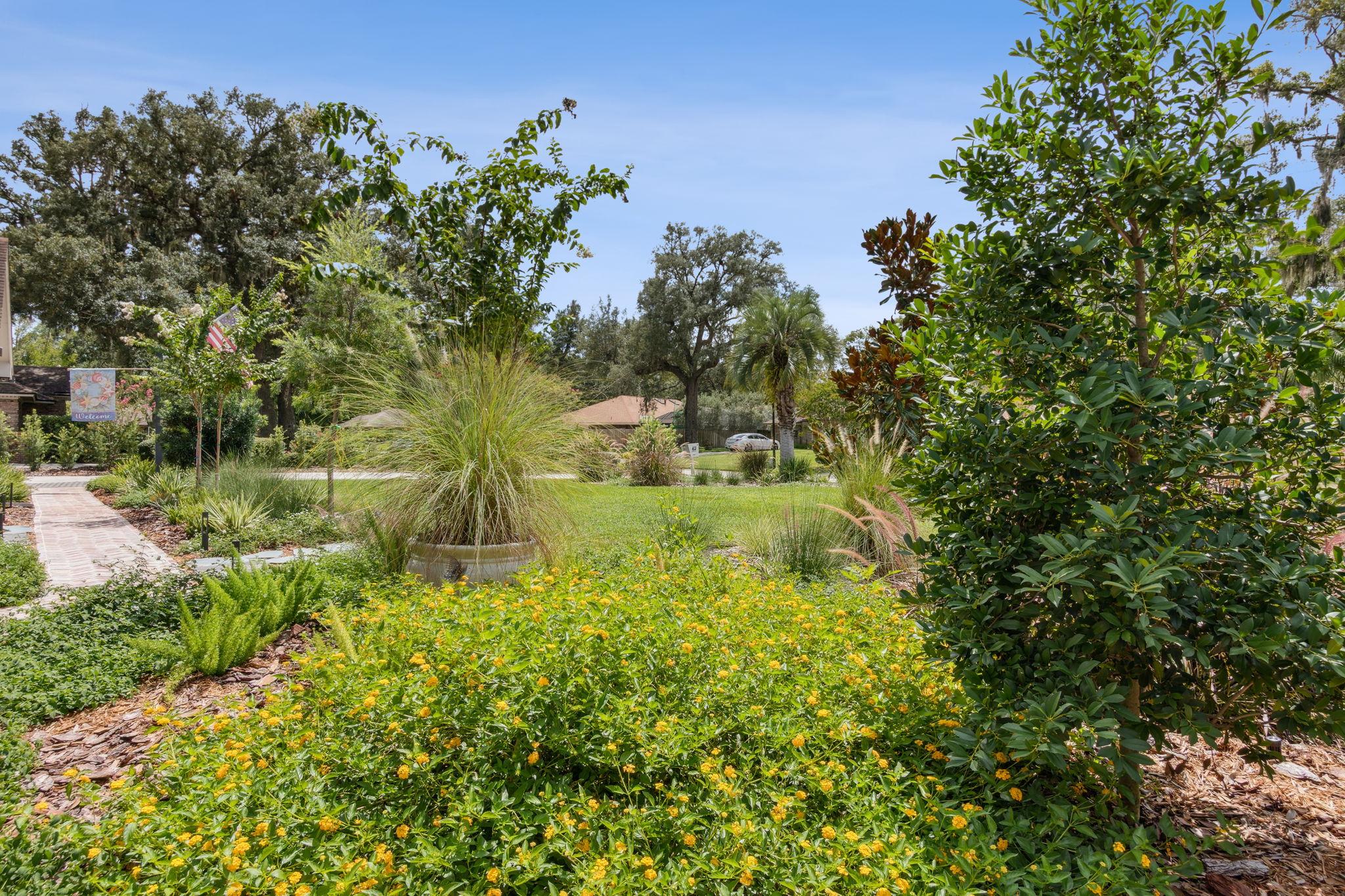 Backyard