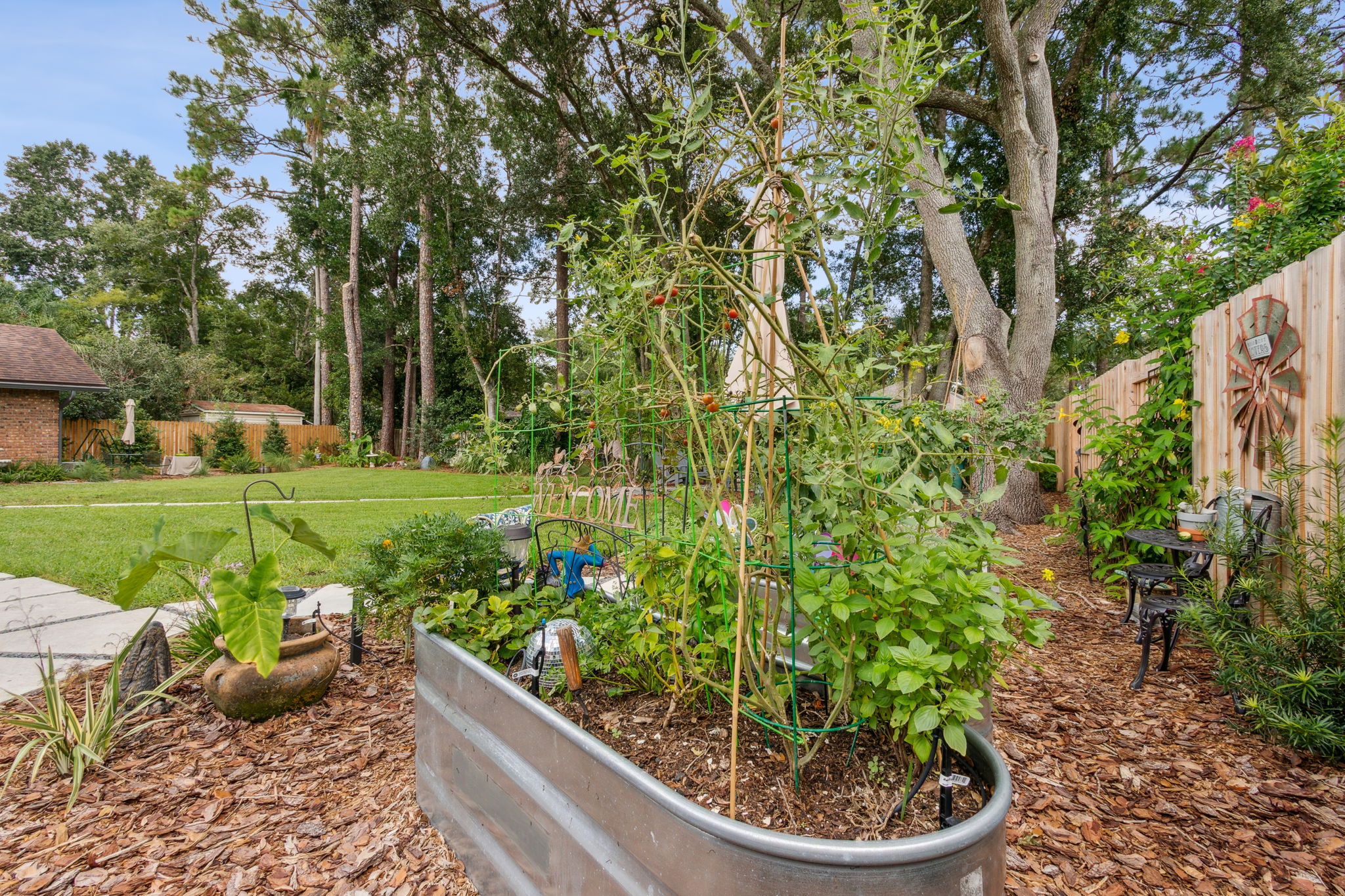 Backyard