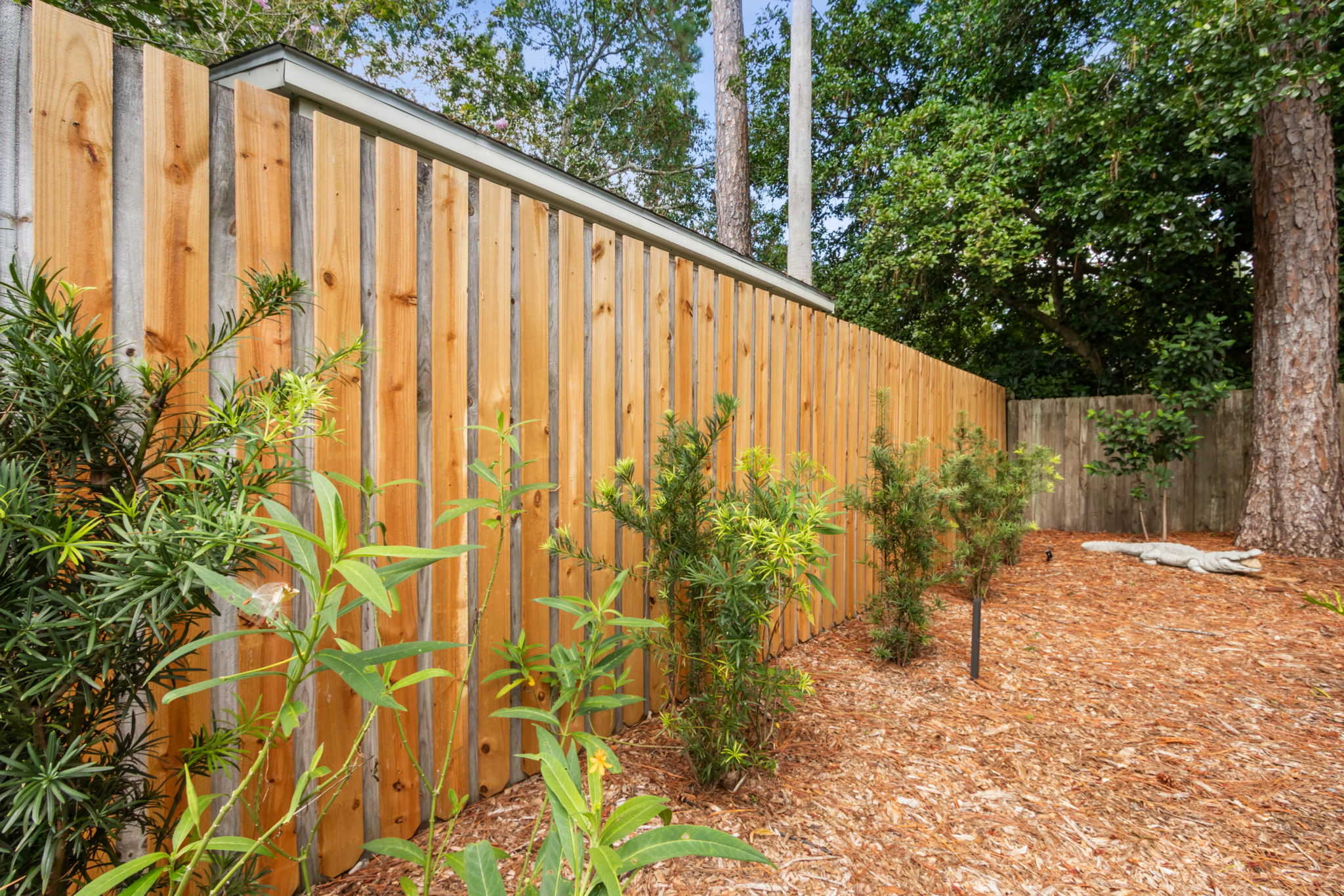 Side Yard