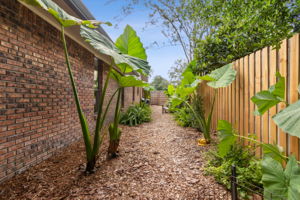 Side Yard