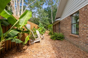 Side Yard