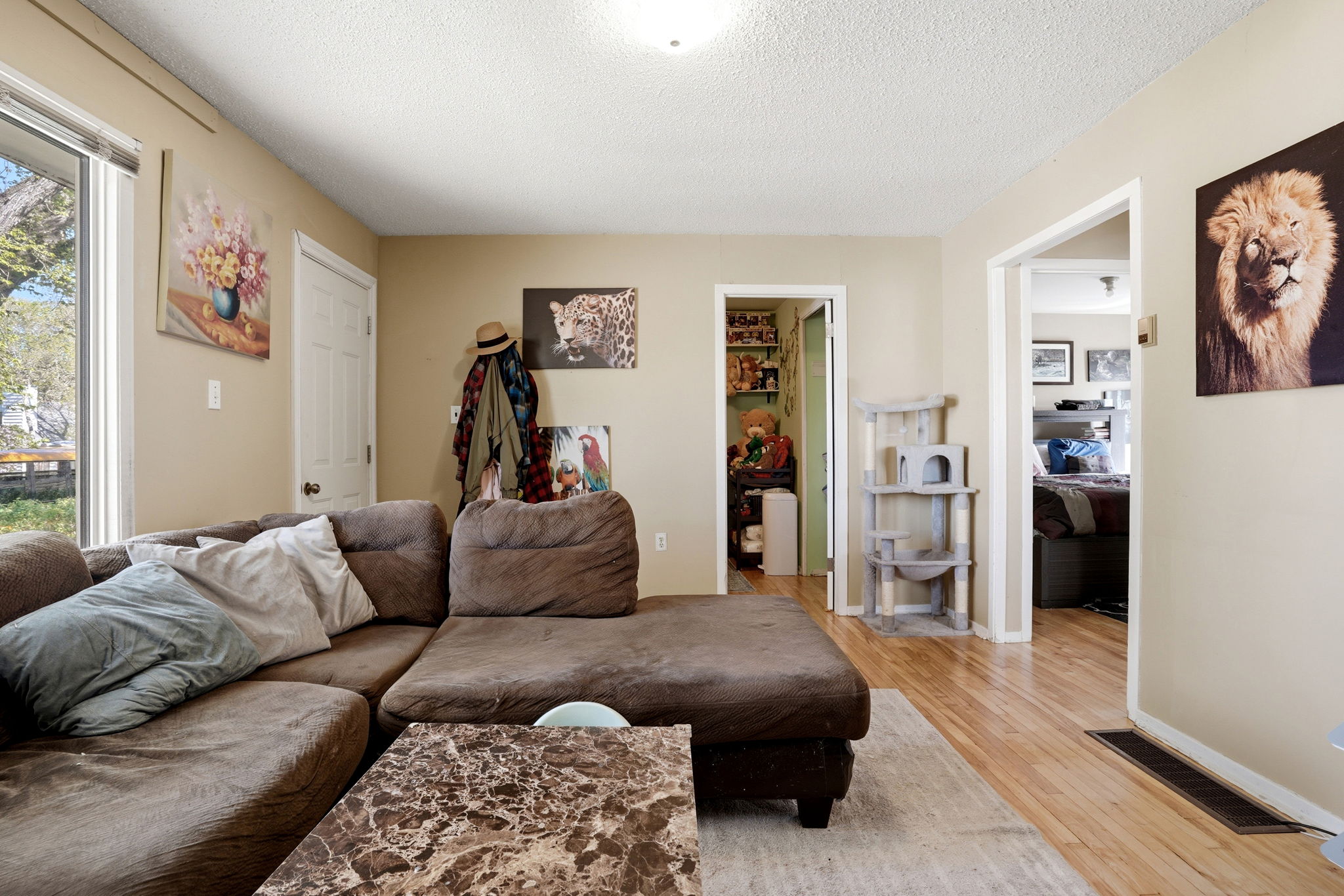  Photo 7