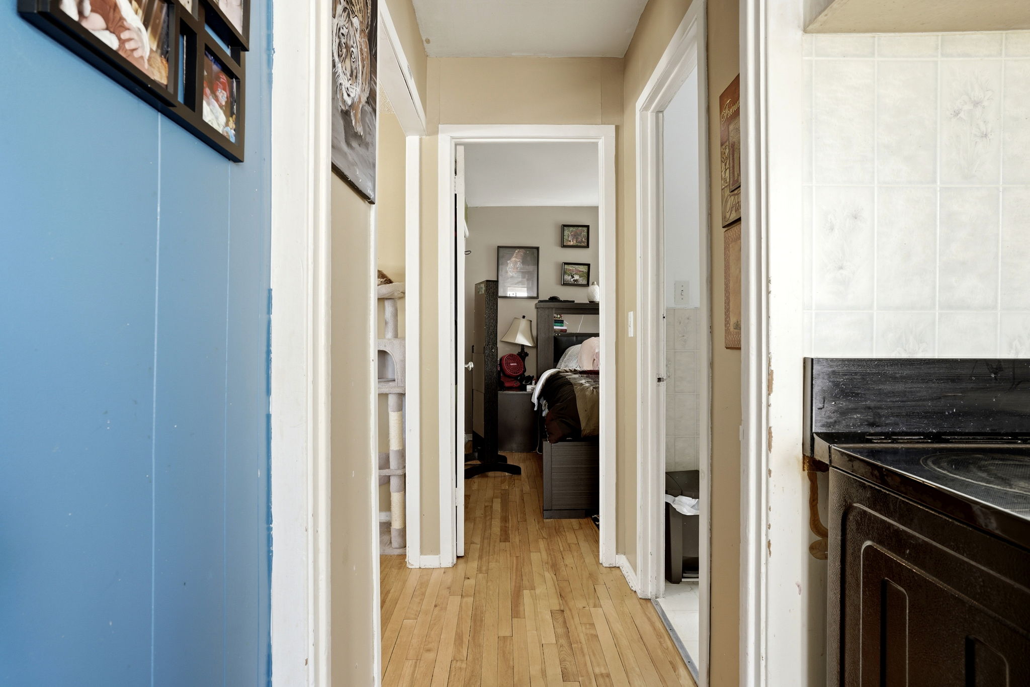  Photo 13
