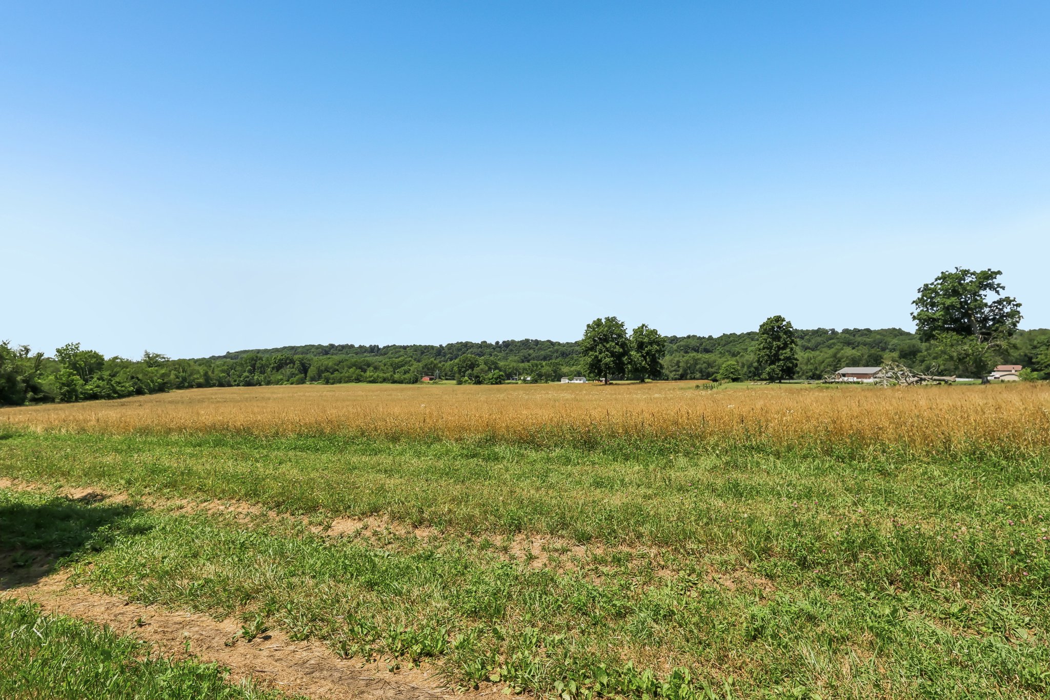 Lois Way-S0907-058.jpg