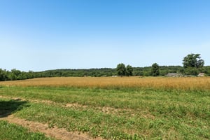Lois Way-S0907-058.jpg