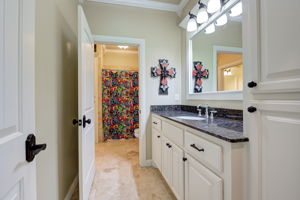  Photo 41