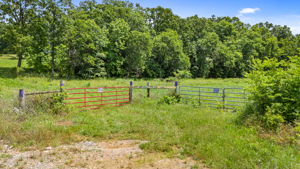  Photo 0