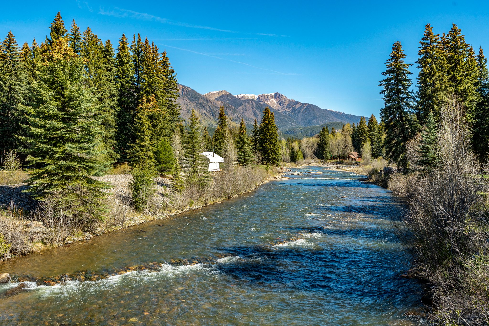  Photo 41
